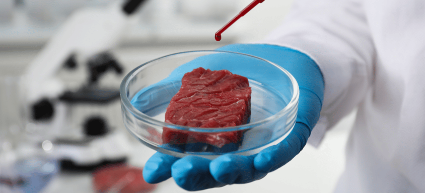 Scientist dripping red liquid onto cultured meat in lab.